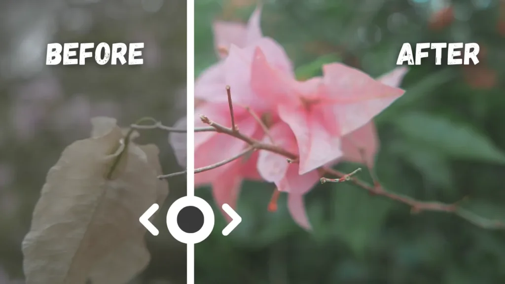 Turn a $50 Camera Into Professional Footage: The Color Grading Secret That Beats Expensive Gear